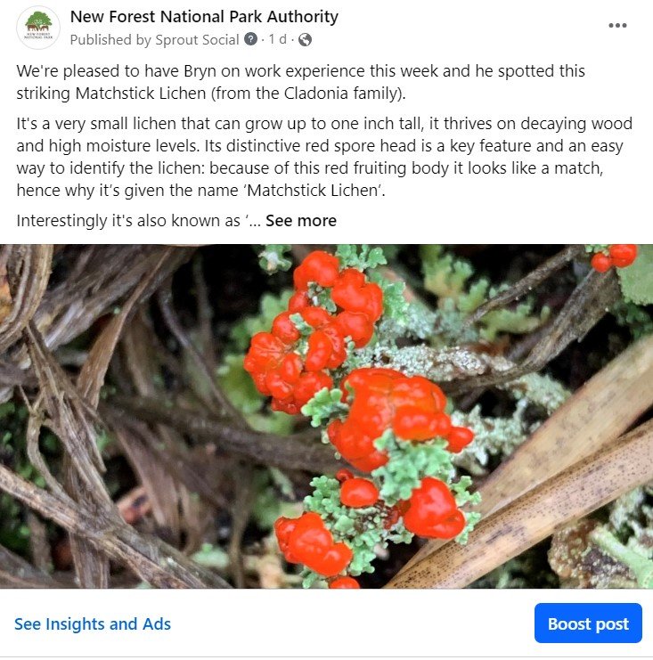 work experience social media post