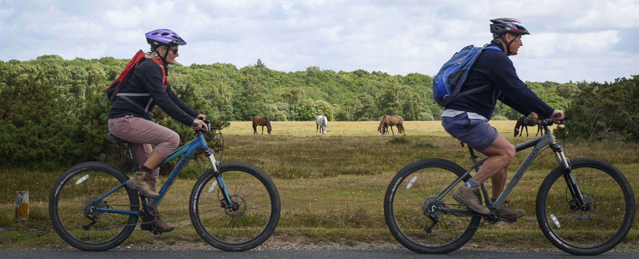 Two cyclists ride along a path at Whitemoor, with grazing ponies and woodland in the background