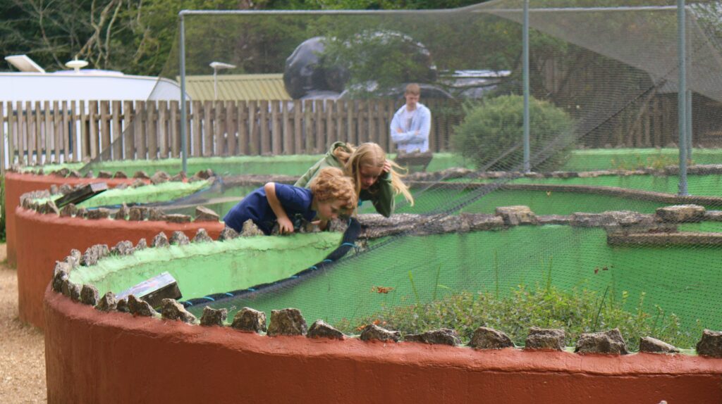Reptile Centre Discovery Trail