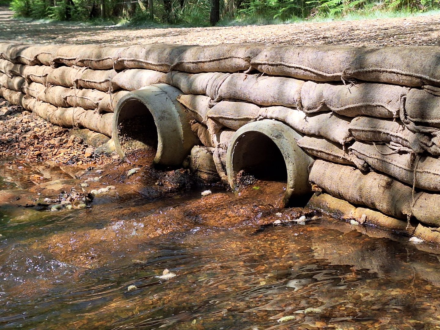 Eel pass installed as part of the Species Survival Fund project