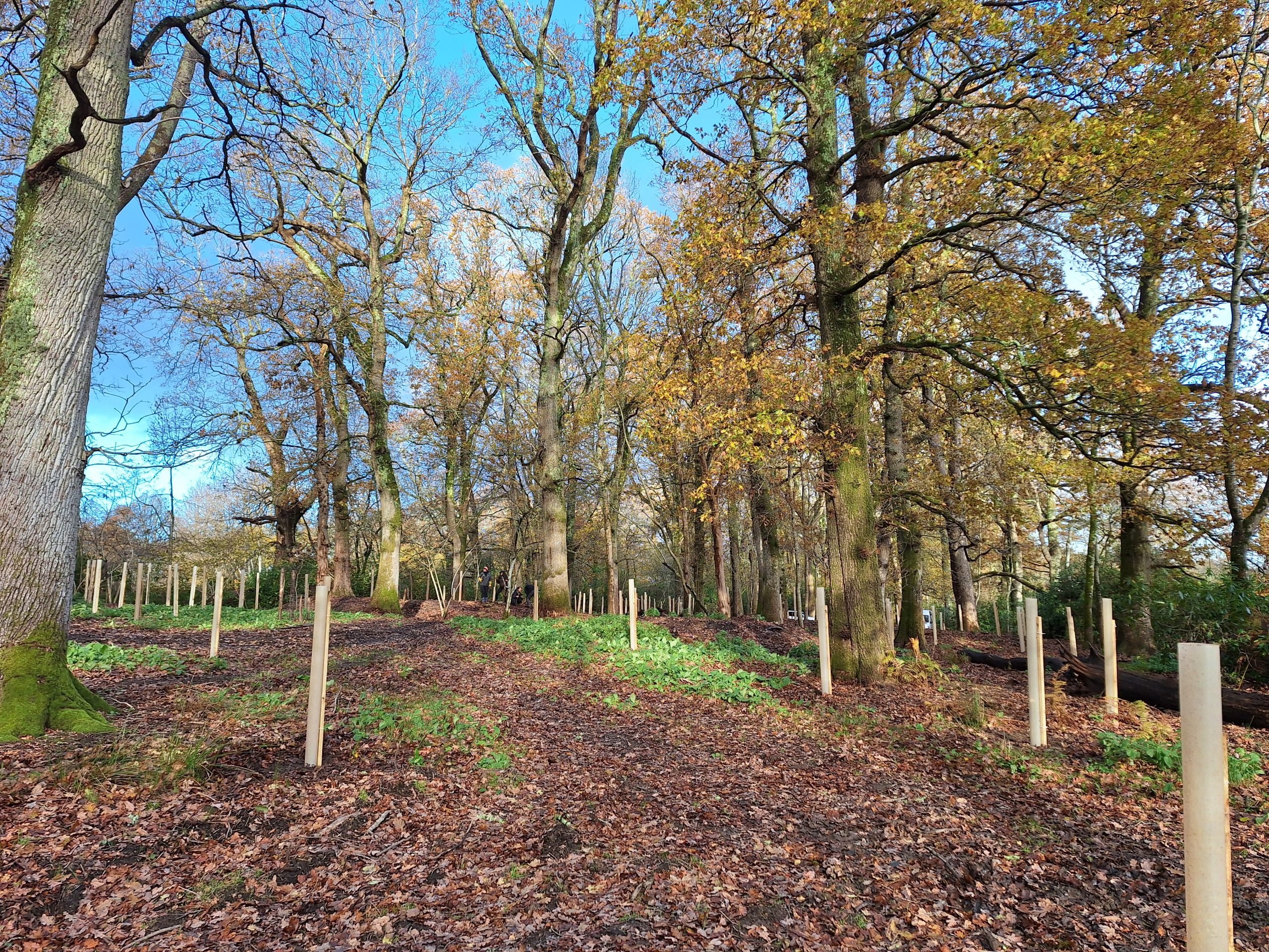 Marlpits Row