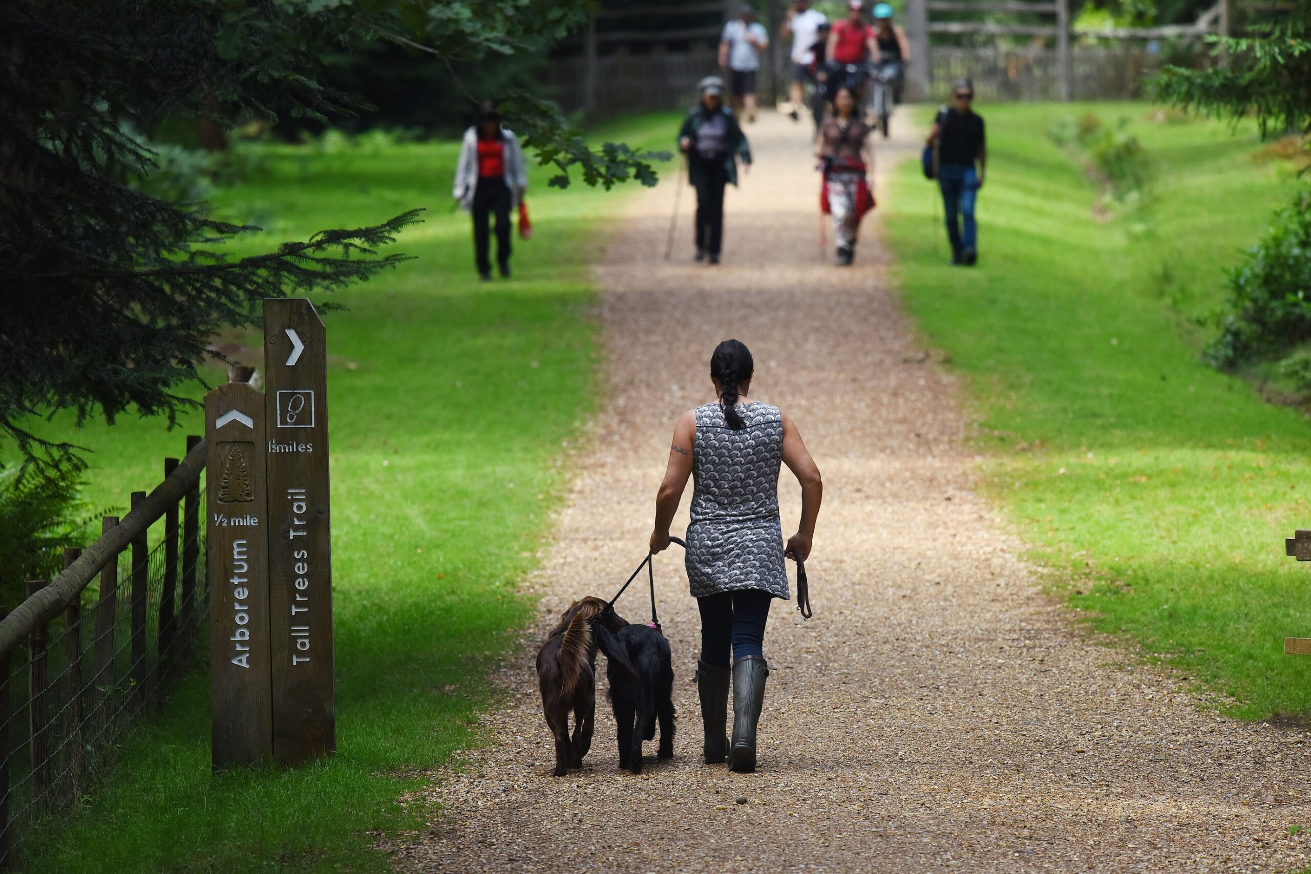 Dog walking at Blackwater Arboretum