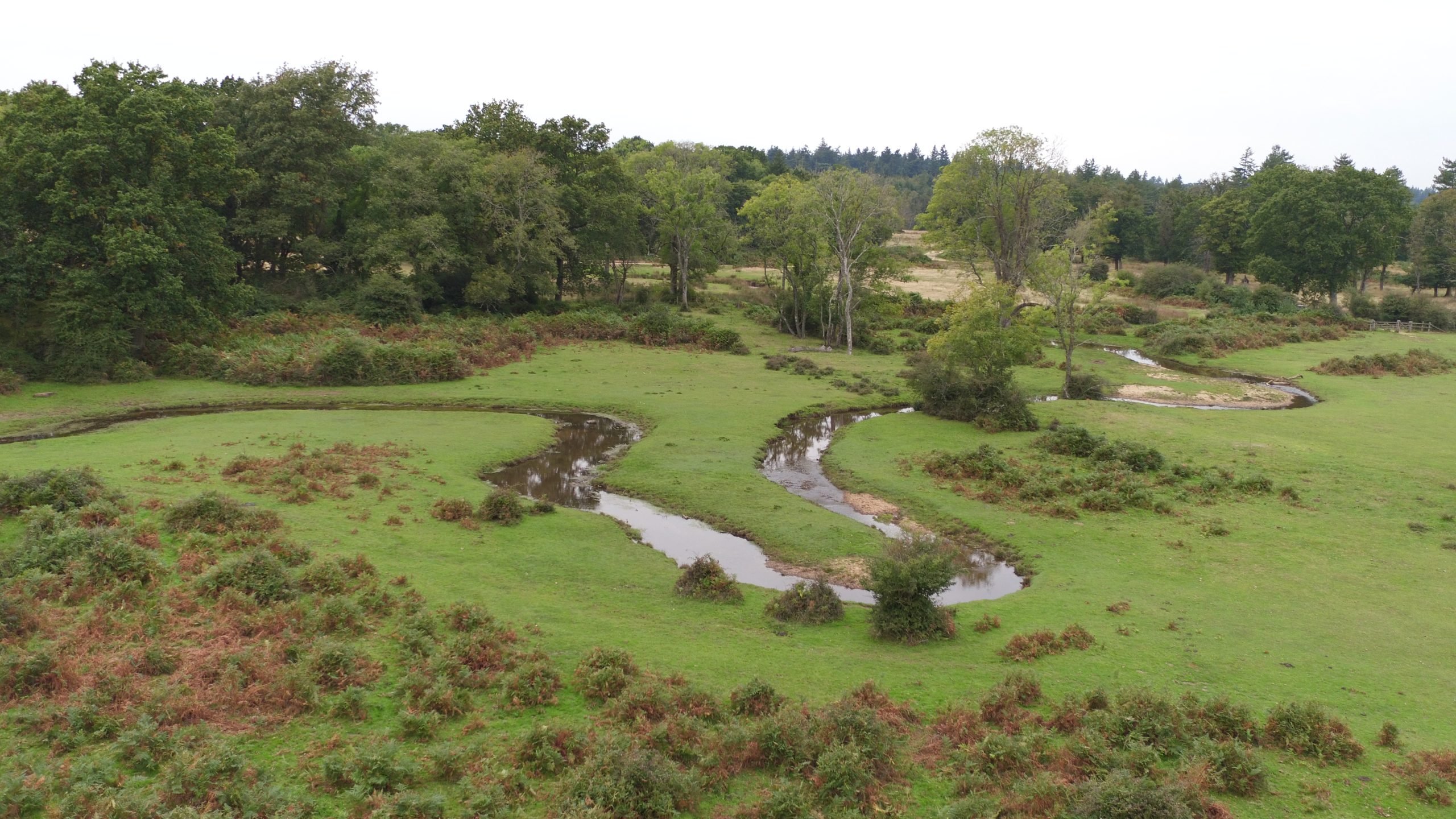 Winding river