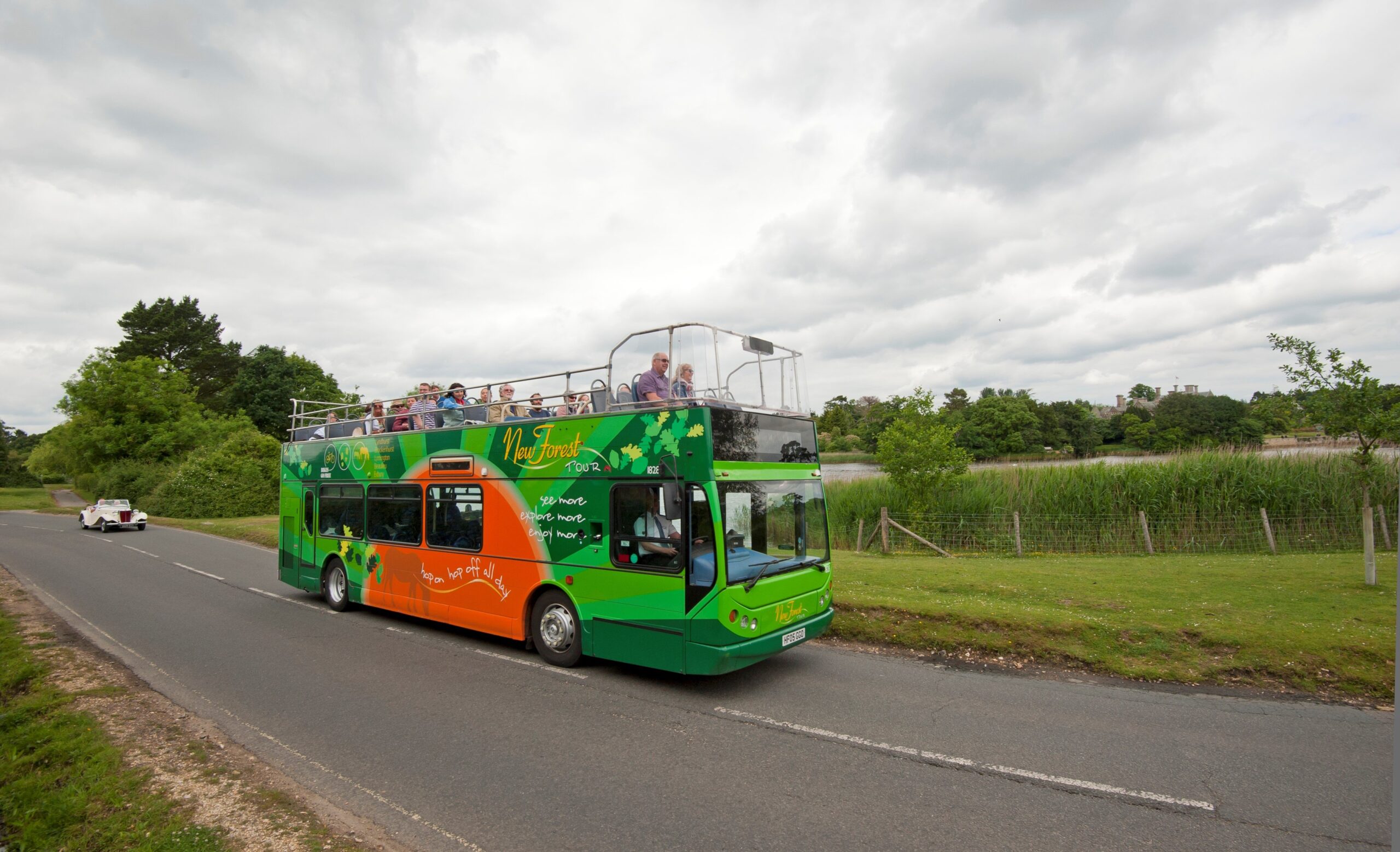 New Forest Tour