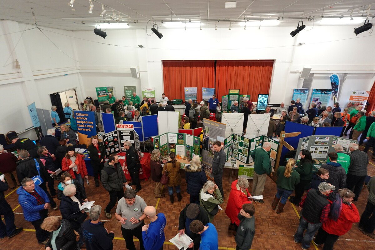 Volunteer Fair 2024