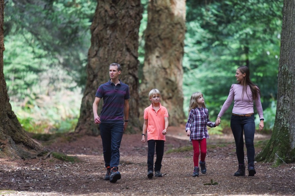 forest walk